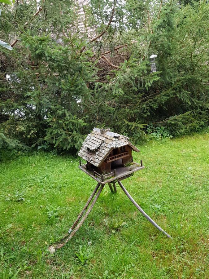 Pension Gebele Schluchsee Eksteriør billede